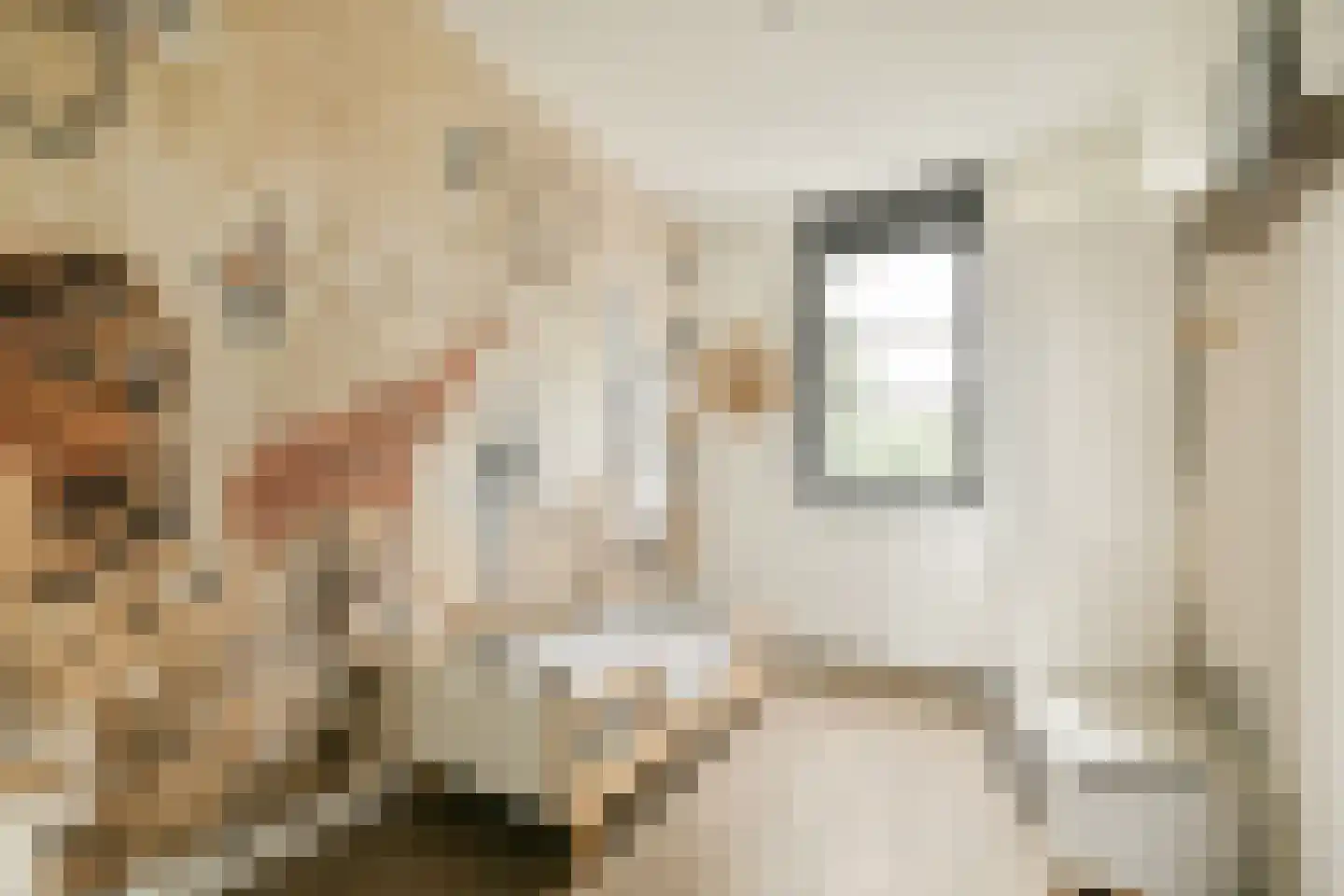 Ravenlaan 14 Blaricum thumbnail 30