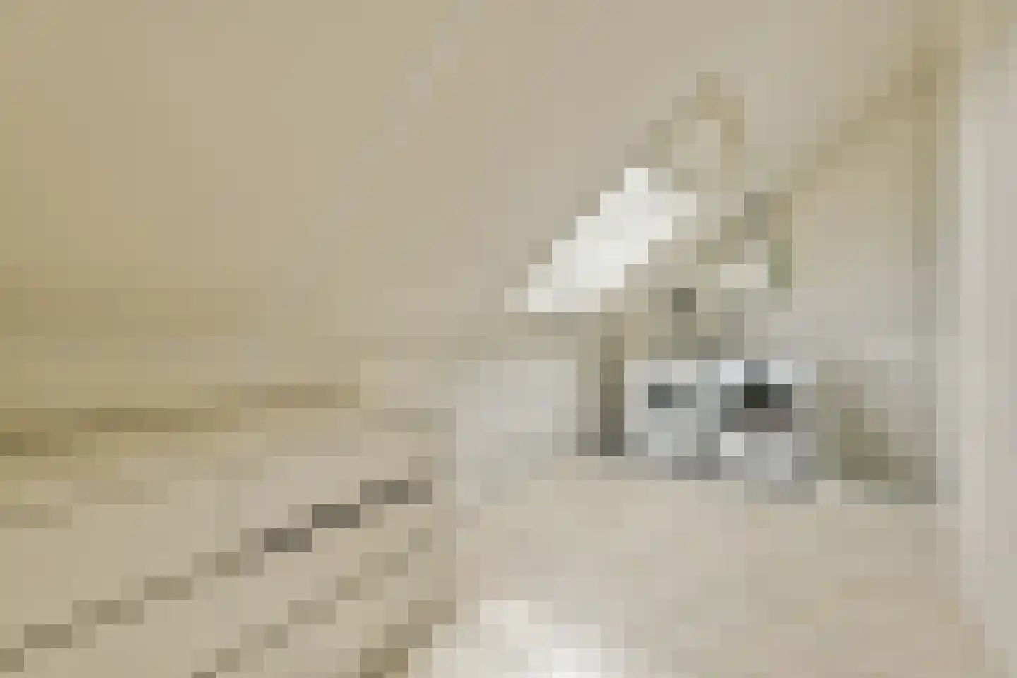 Ravenlaan 14 Blaricum thumbnail 31