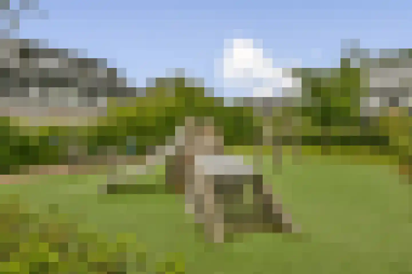 Ravenlaan 14 Blaricum thumbnail 34