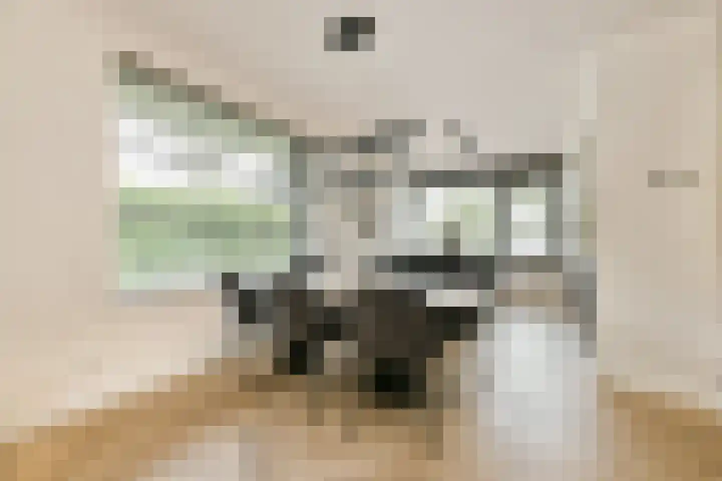 Ravenlaan 14 Blaricum thumbnail 9