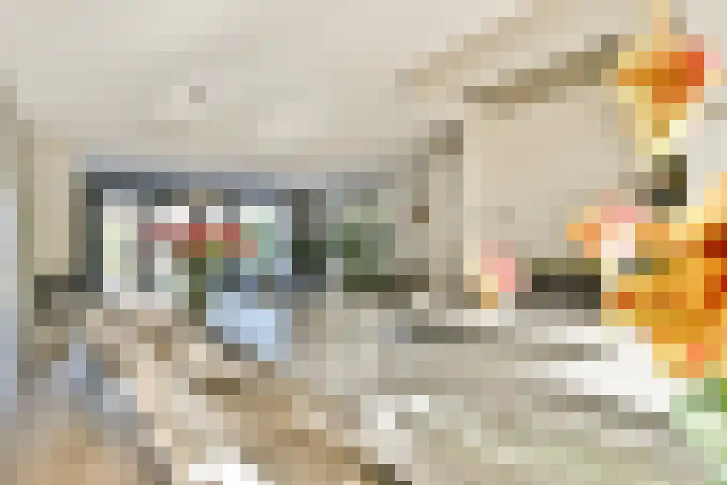 Ravenlaan 19 Blaricum thumbnail 10