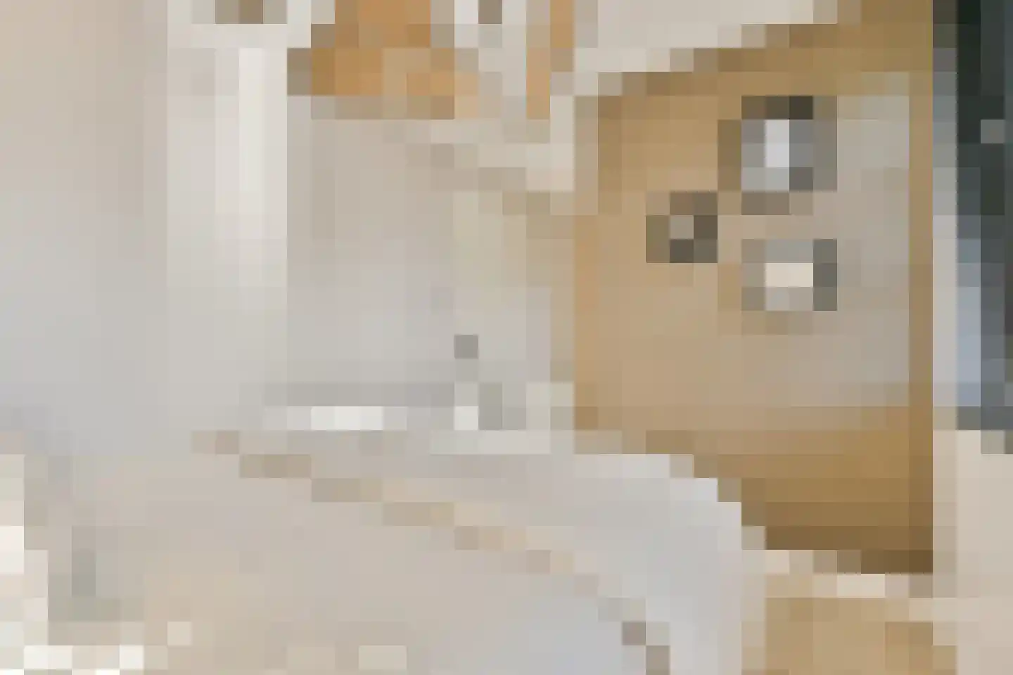 Ravenlaan 19 Blaricum thumbnail 20
