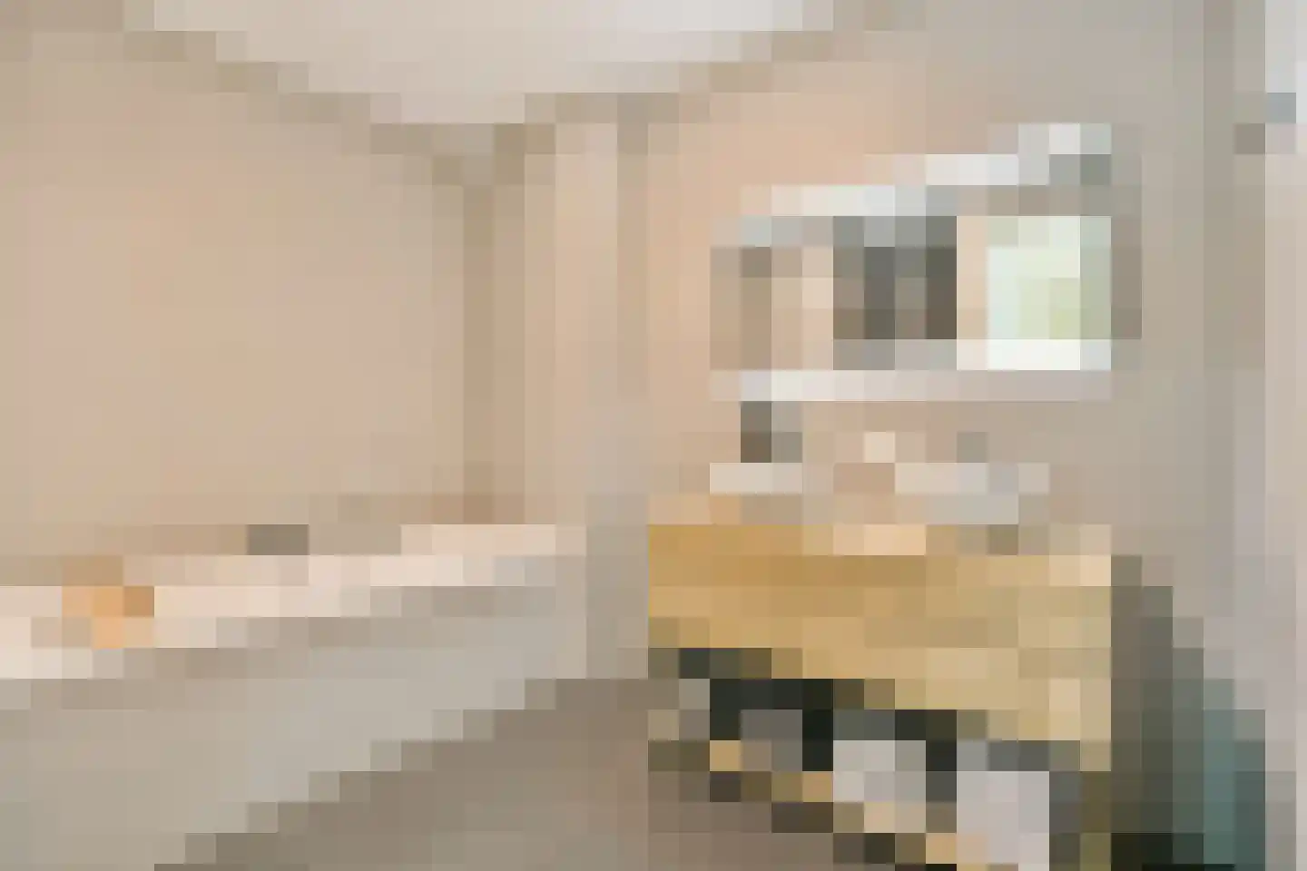 Ravenlaan 19 Blaricum thumbnail 22