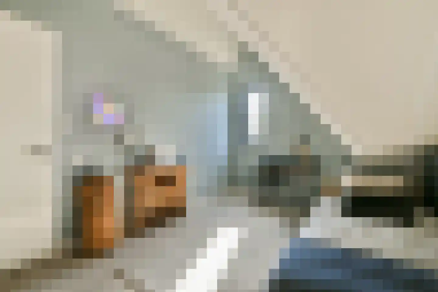 Ravenlaan 19 Blaricum thumbnail 31