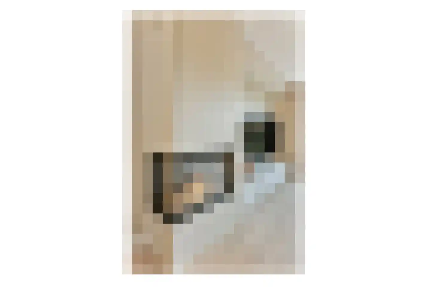 Ravenlaan 19 Blaricum thumbnail 5
