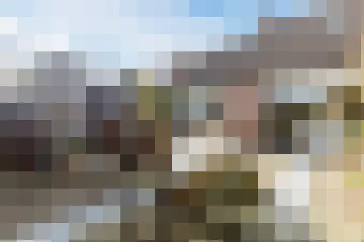 Ravensbeek 19 Tilburg thumbnail 27