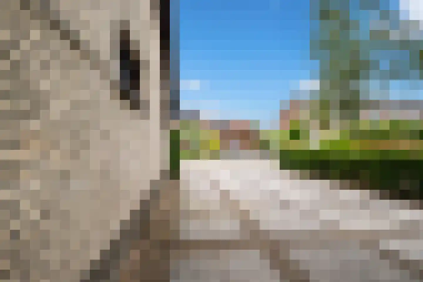Ravensbergseweg 4 Reeuwijk thumbnail 11