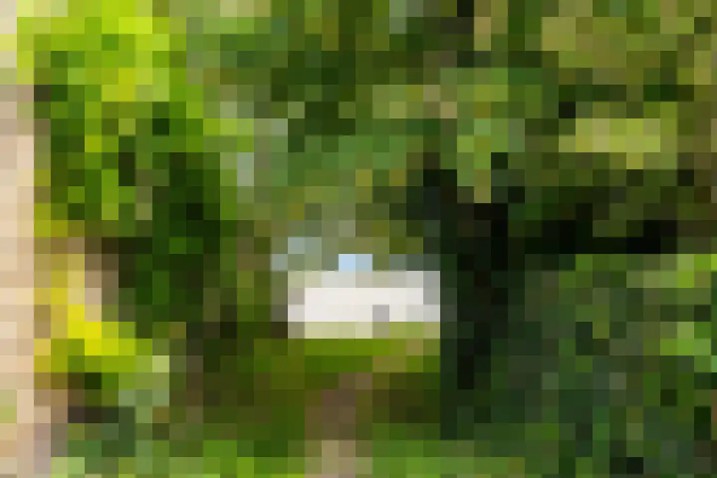 Ravensbergseweg 4 Reeuwijk thumbnail 53
