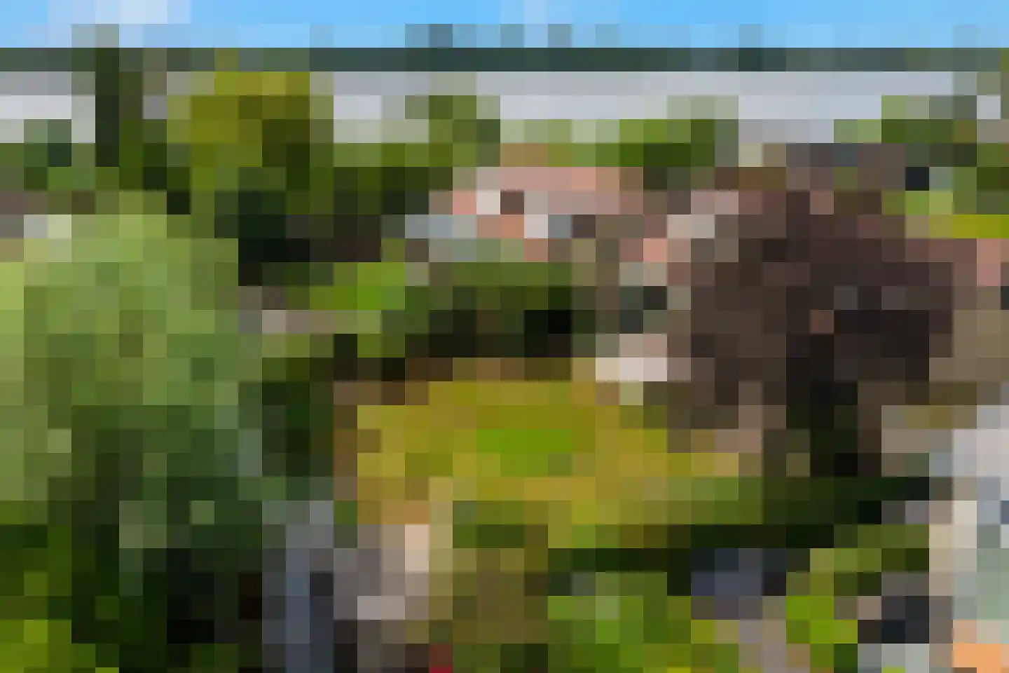 Ravensbergseweg 4 Reeuwijk thumbnail 60