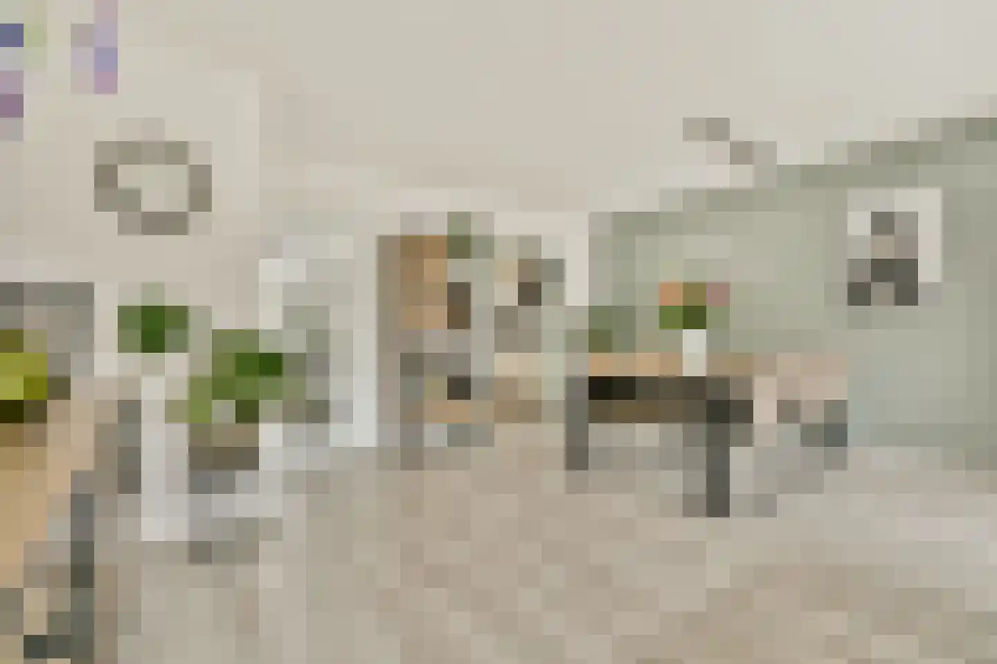 Ravensbos 3 Hoofddorp thumbnail 11