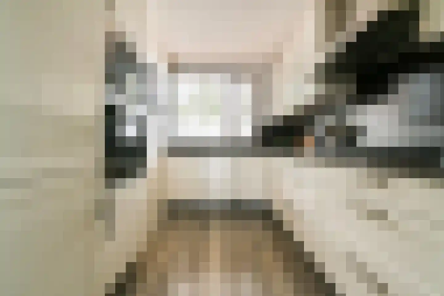 Ravensbos 3 Hoofddorp thumbnail 12
