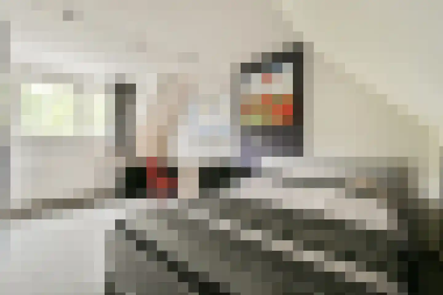 Ravensbos 3 Hoofddorp thumbnail 19