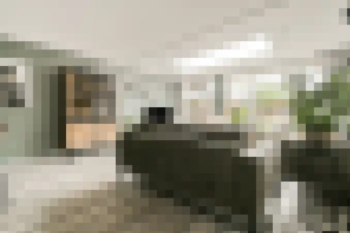 Ravensbos 3 Hoofddorp thumbnail 9