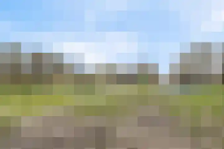 Ravensbos 42 Hoofddorp thumbnail 18