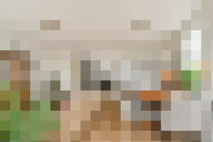 Ravensbos 42 Hoofddorp thumbnail 8