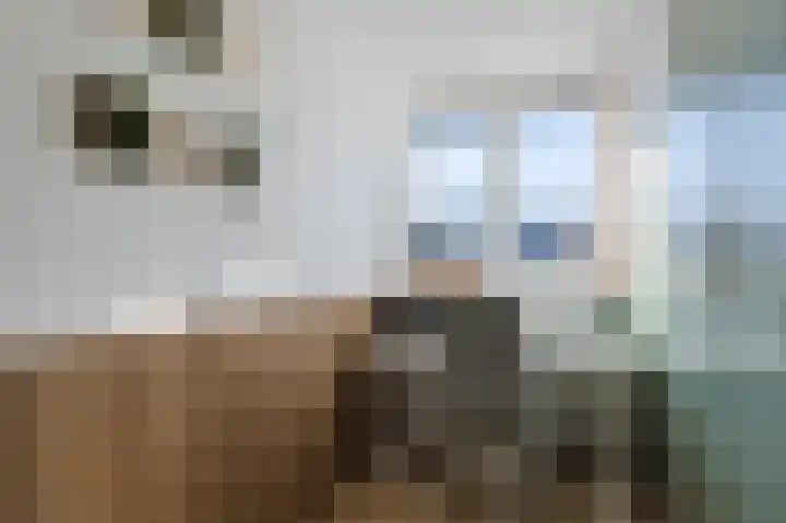 Ravensbos 76 Hoofddorp thumbnail 20