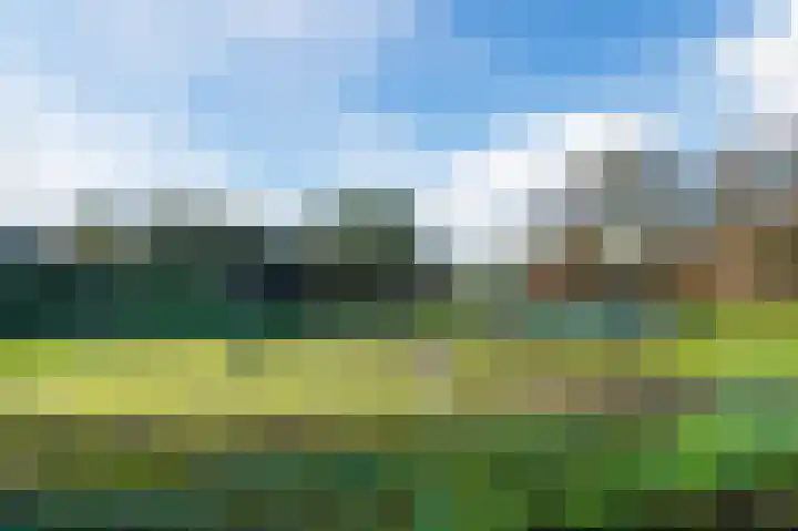 Ravensbos 76 Hoofddorp thumbnail 37