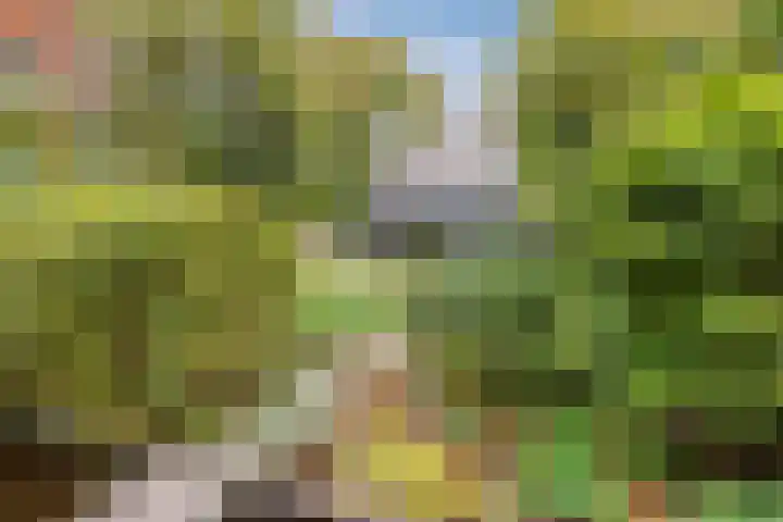 Ravensbos 99 Hoofddorp thumbnail 4