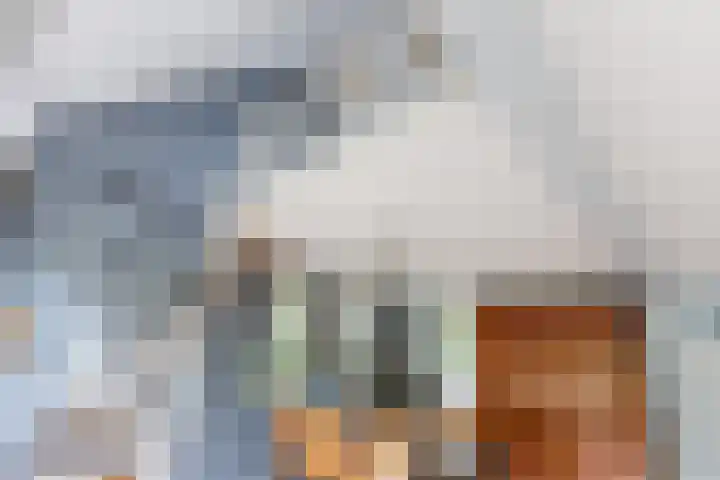 Ravensbos 99 Hoofddorp thumbnail 40