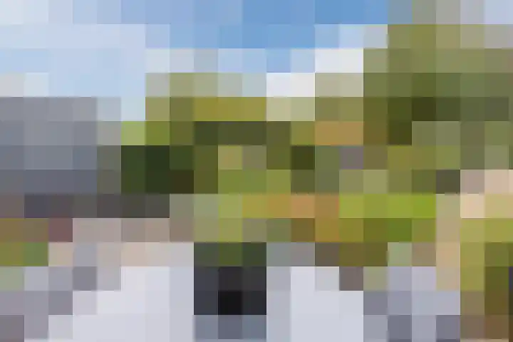 Ravensbos 99 Hoofddorp thumbnail 46