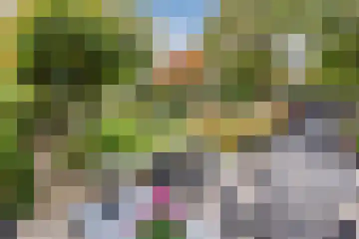 Ravensbos 99 Hoofddorp thumbnail 47