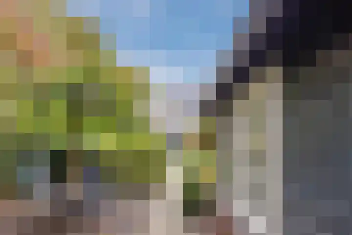 Ravensbos 99 Hoofddorp thumbnail 49