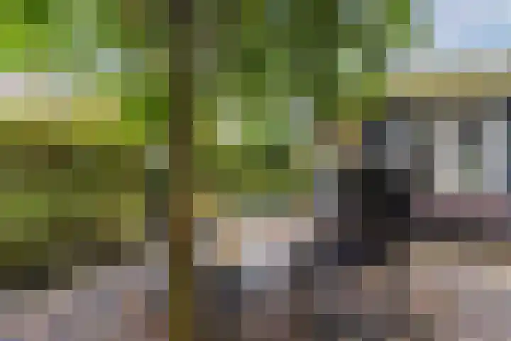 Ravensbos 99 Hoofddorp thumbnail 50