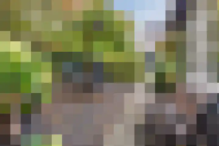 Ravensbos 99 Hoofddorp thumbnail 51