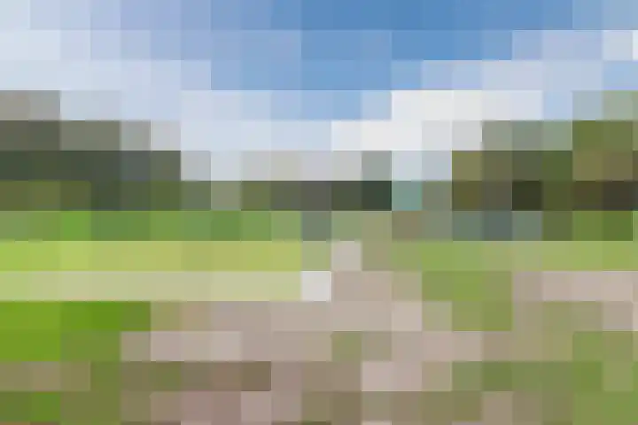 Ravensbos 99 Hoofddorp thumbnail 54