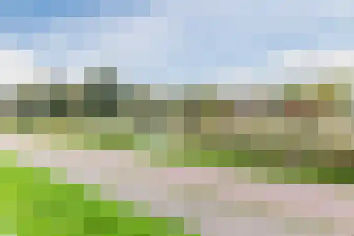 Ravensbos 99 Hoofddorp thumbnail 55
