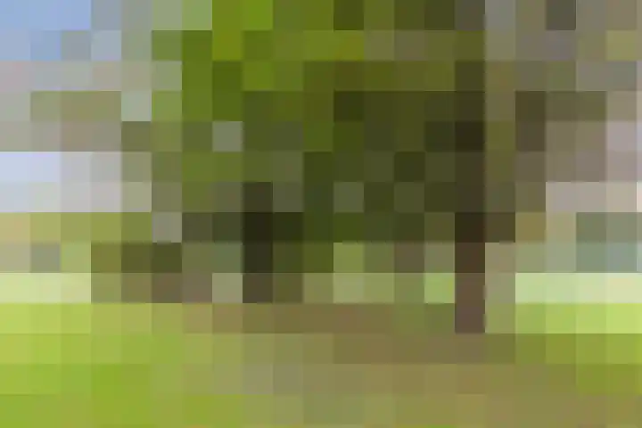 Ravensbos 99 Hoofddorp thumbnail 56