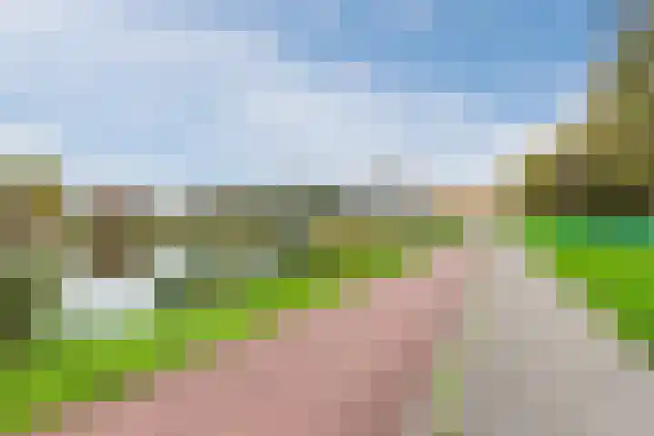 Ravensbos 99 Hoofddorp thumbnail 58