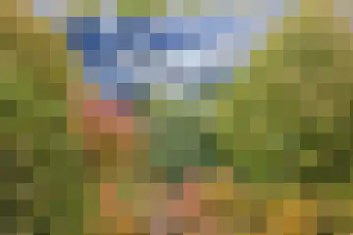 Ravensbos 99 Hoofddorp thumbnail 59