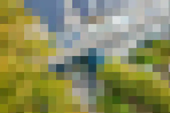 Ravensbos 99 Hoofddorp thumbnail 60