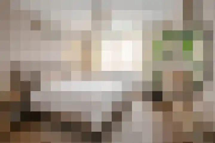 Ravensboschstraat 5 Hulsberg thumbnail 15