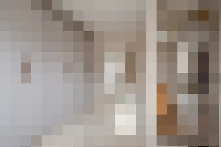 Ravensboschstraat 5 Hulsberg thumbnail 19