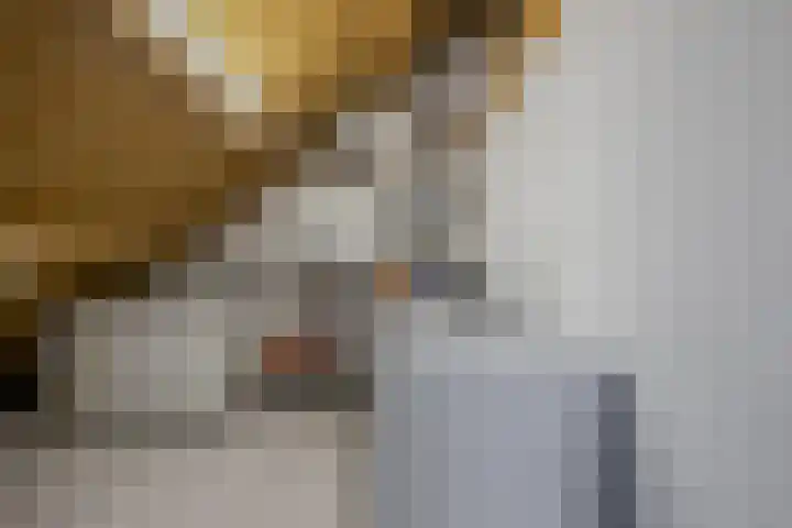 Ravensboschstraat 5 Hulsberg thumbnail 26