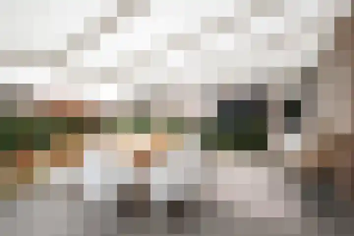 Ravensboschstraat 5 Hulsberg thumbnail 27