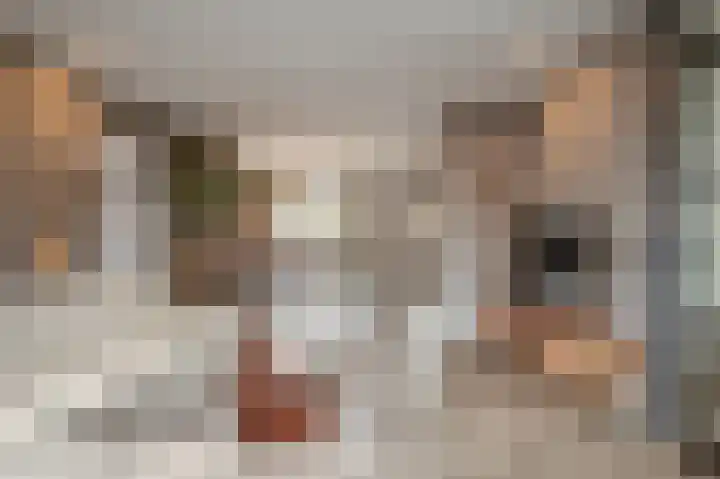 Ravensboschstraat 5 Hulsberg thumbnail 5