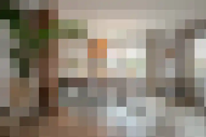 Ravensboschstraat 5 Hulsberg thumbnail 8