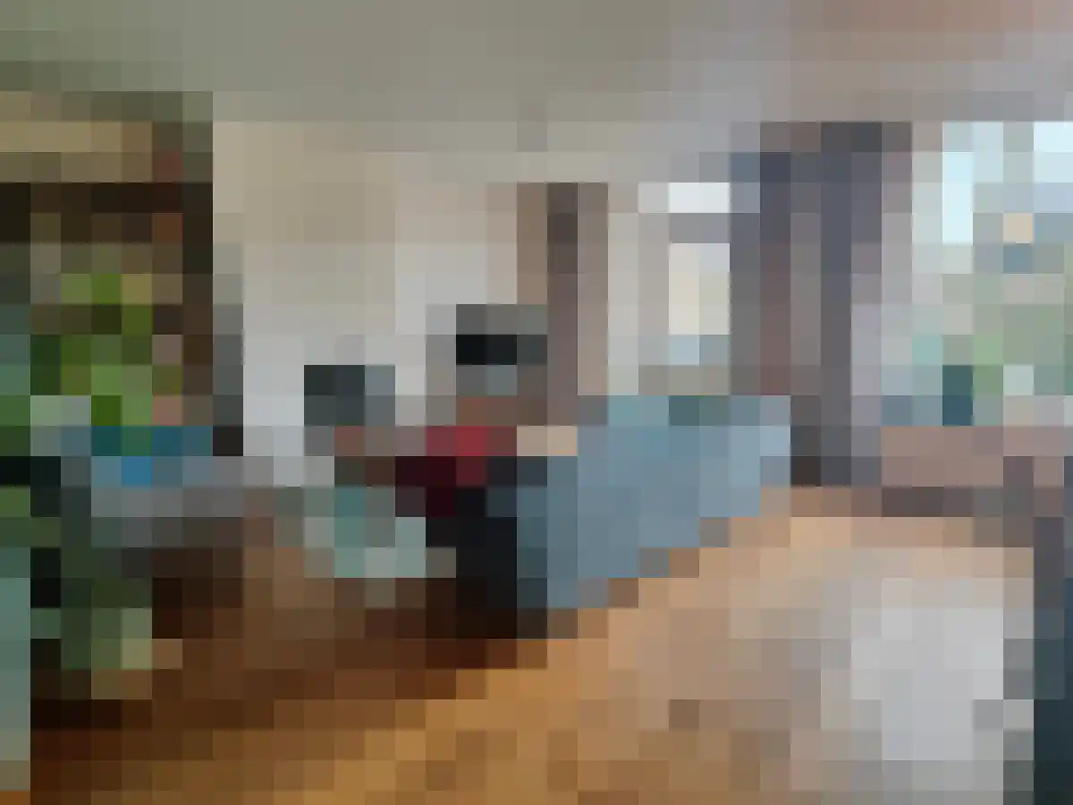 Ravensdonk 14 Eindhoven thumbnail 4