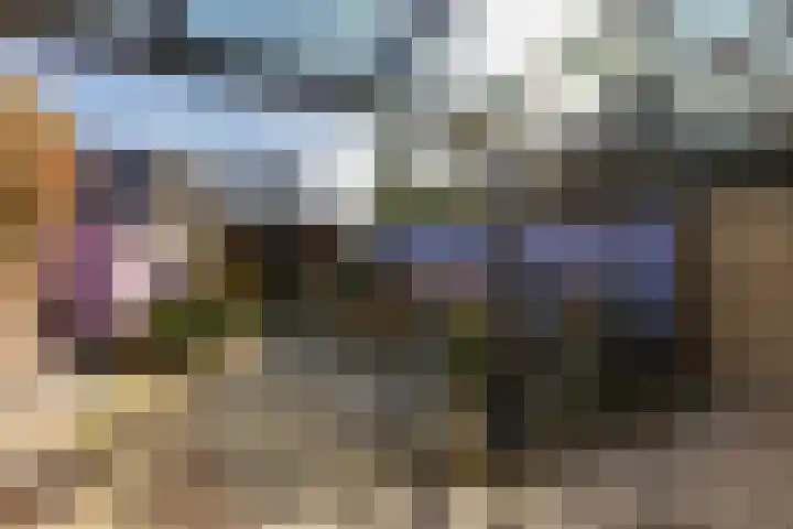 Ravensdonk 27 Eindhoven thumbnail 36