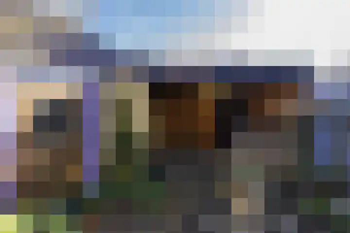Ravensdonk 27 Eindhoven thumbnail 40