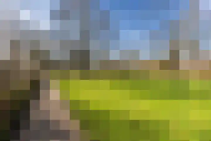 Ravensdonk 27 Eindhoven thumbnail 45