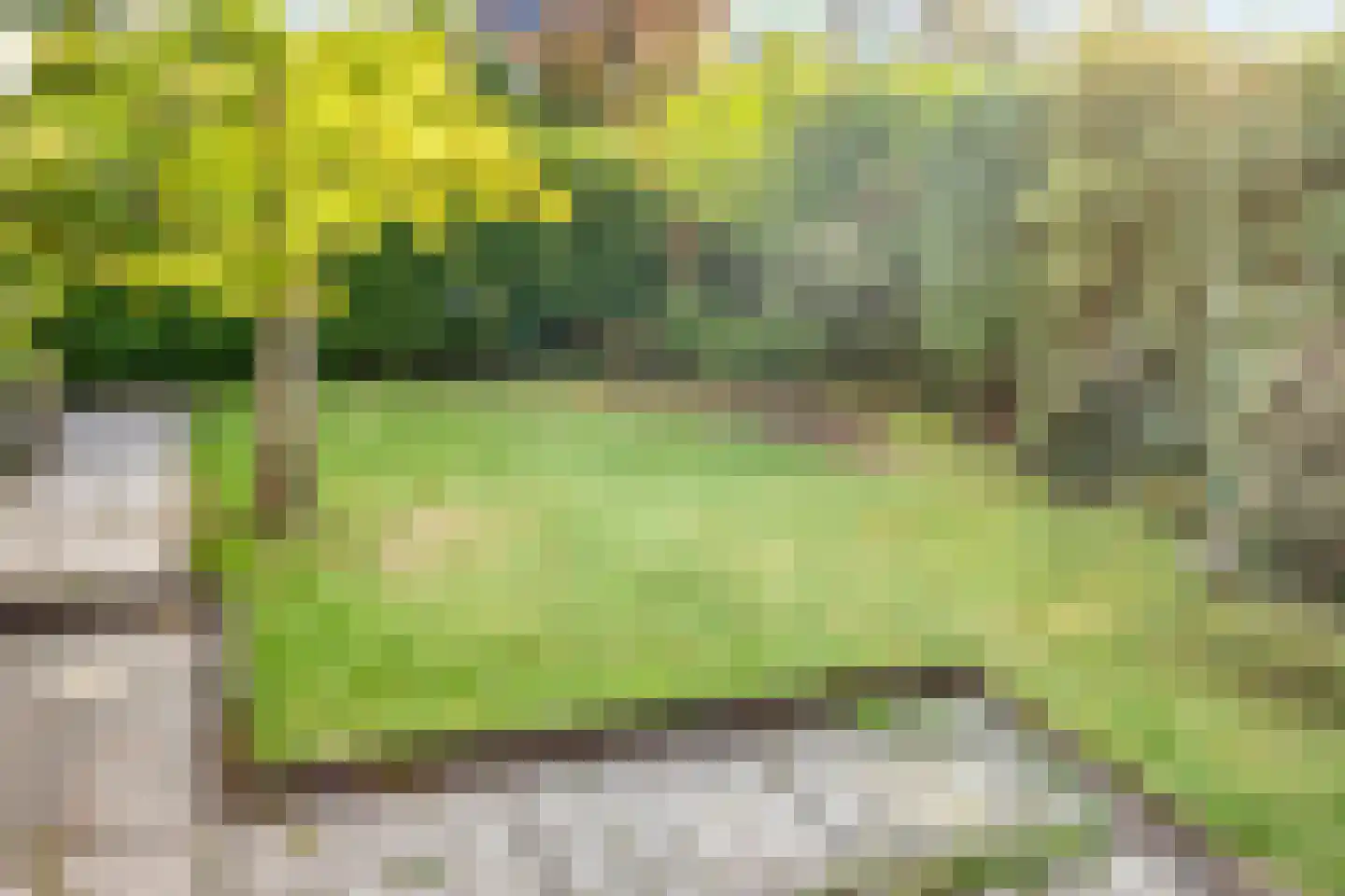 Ravensdonk 45 Eindhoven thumbnail 32