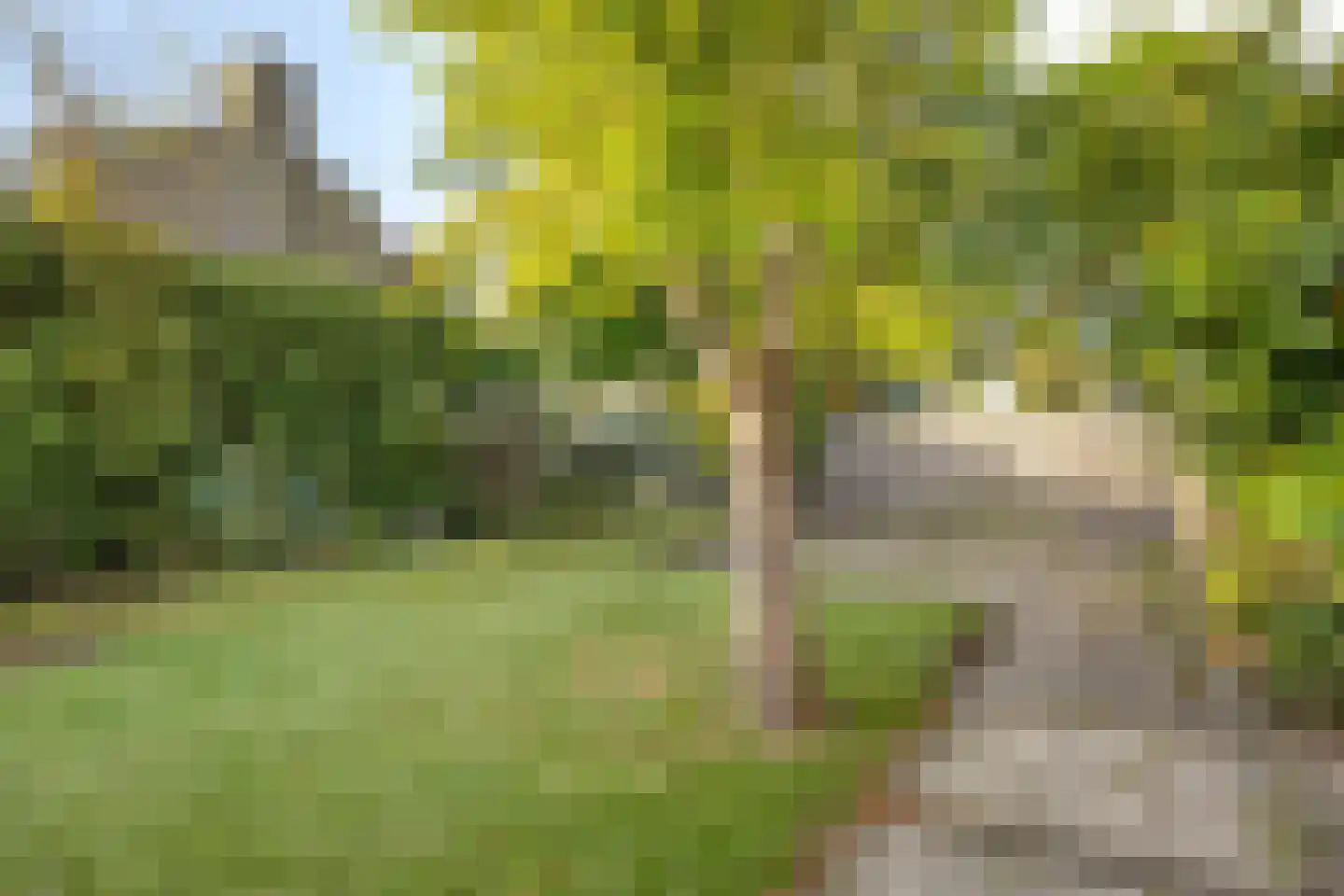 Ravensdonk 45 Eindhoven thumbnail 33