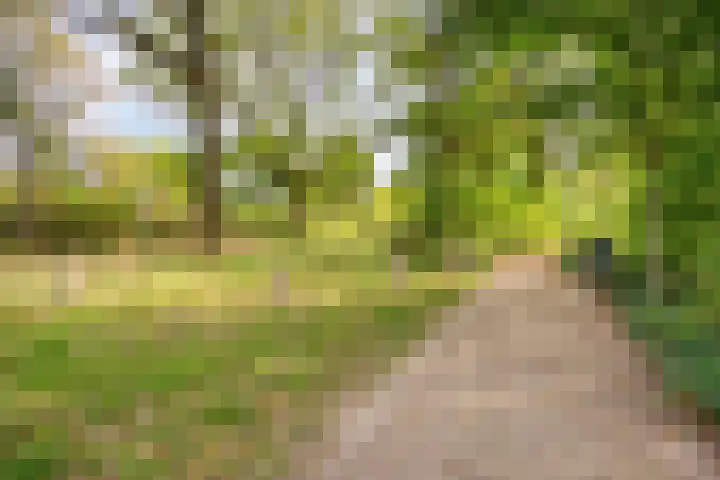 Ravensdonk 45 Eindhoven thumbnail 43