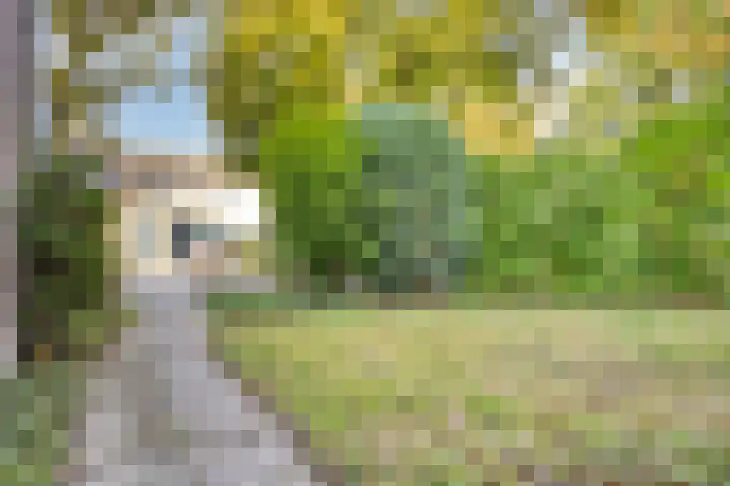 Ravensdonk 45 Eindhoven thumbnail 6