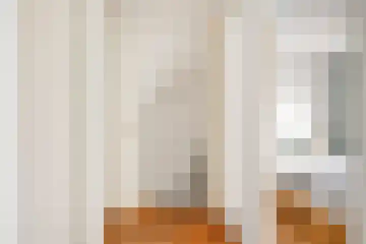 Ravensdonk 49 Eindhoven thumbnail 17