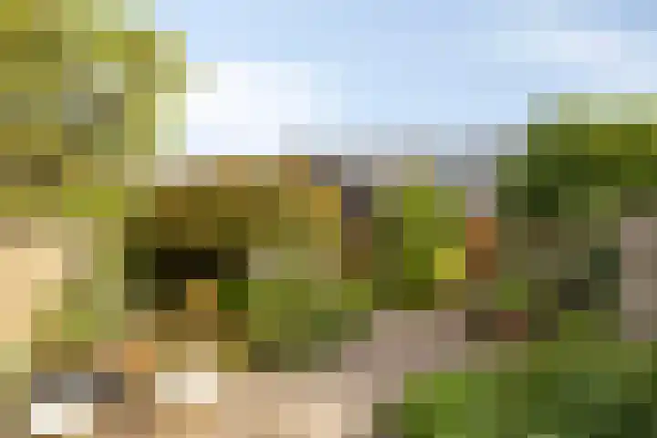 Ravensdonk 49 Eindhoven thumbnail 31